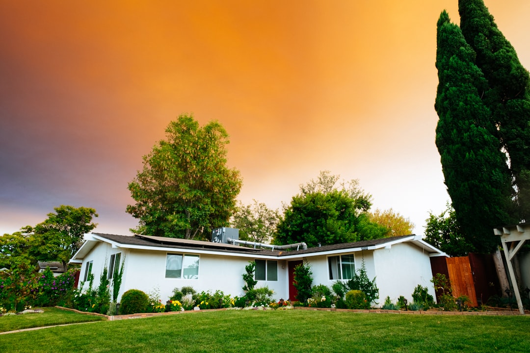 The Psychology of Home Decor: How Your Space Affects Your Mood The Psychology of Home Decor: How Your Space Affects Your Mood